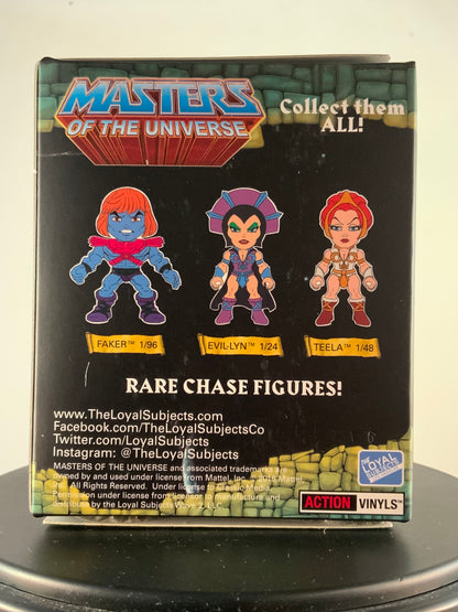 Masters of the Universe Action Vinyls