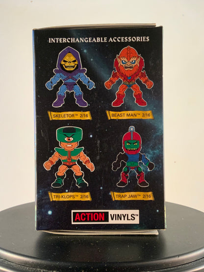 Masters of the Universe Action Vinyls