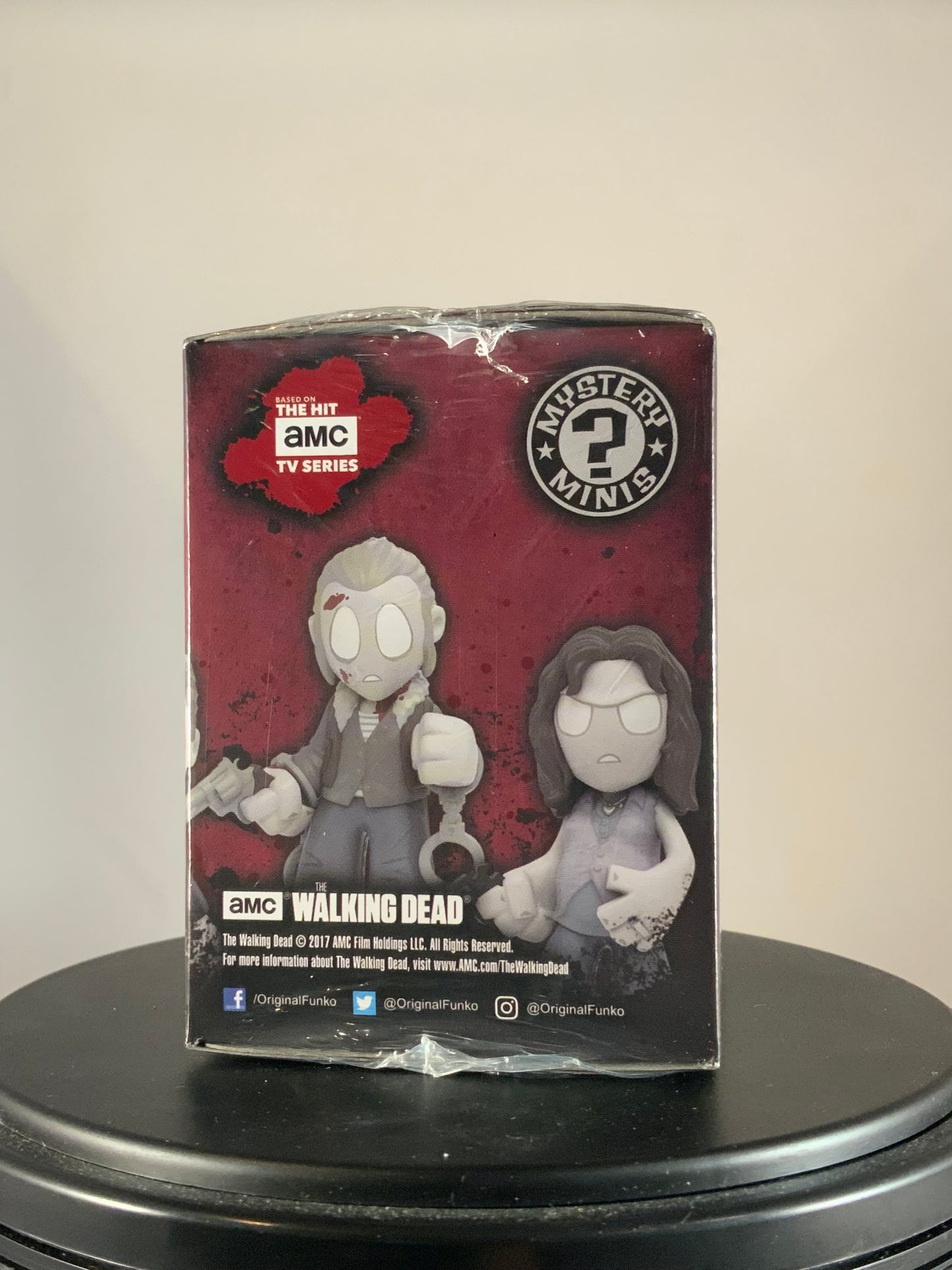 Walking Dead 5 (In Memoriam) Mystery Minis