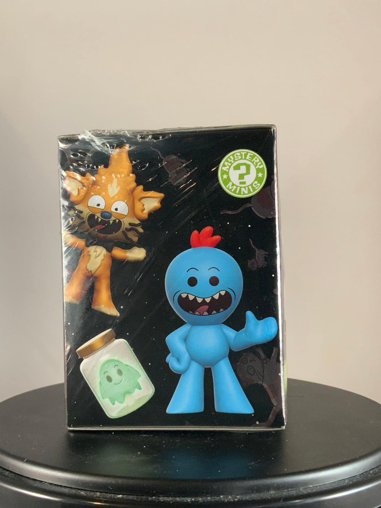 Rick and Morty Mystery Minis